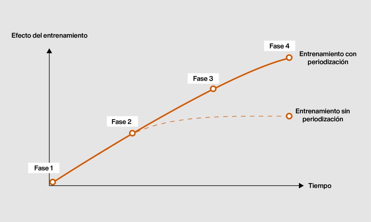 Periodización del Entrenamiento: Guía de Progreso Real